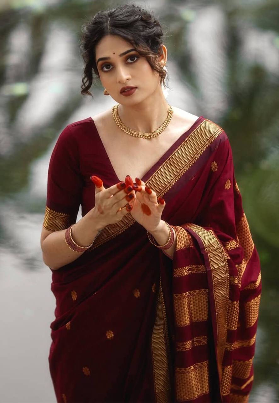 Banarasi Silk Saree