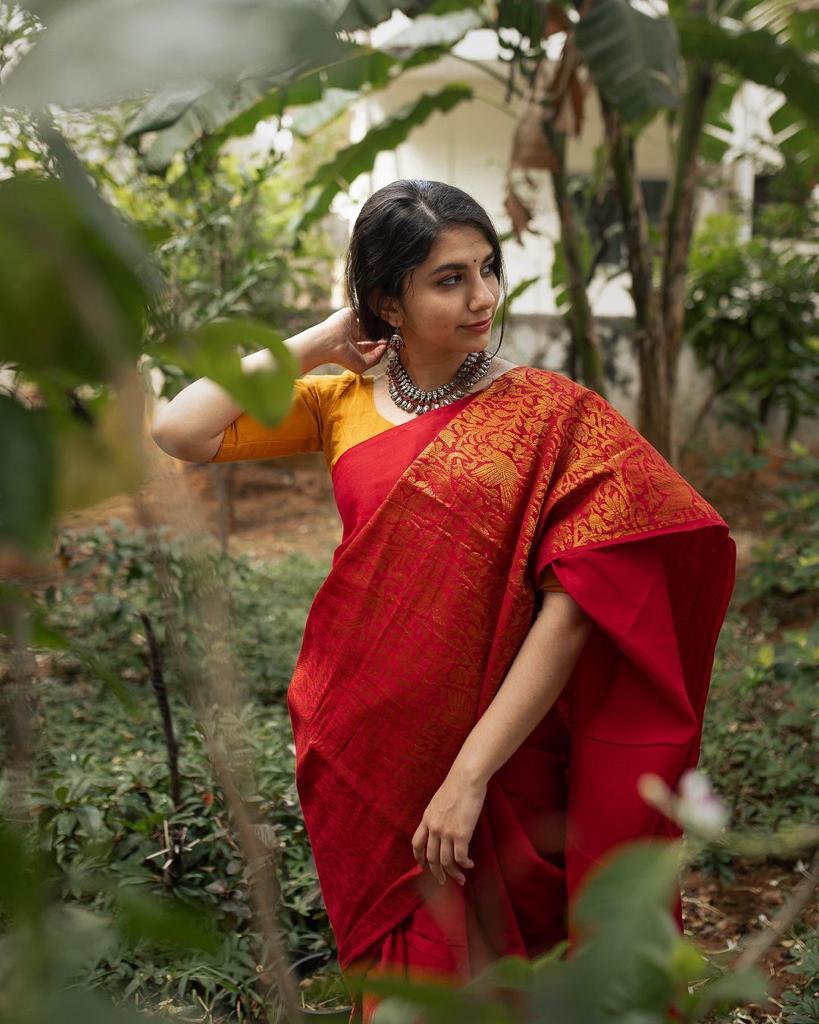 Soft Silk Saree